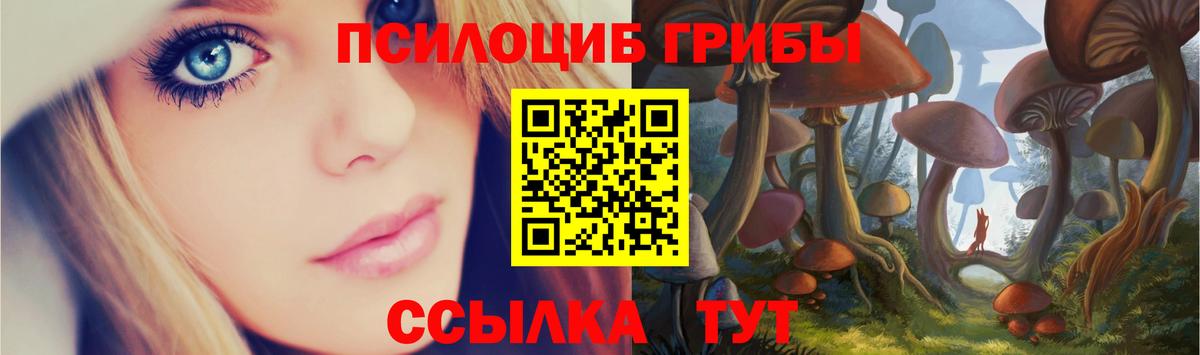 Керчь  Галлюциногенные грибы мицелий  купить наркотики цена  Вход с VPN 